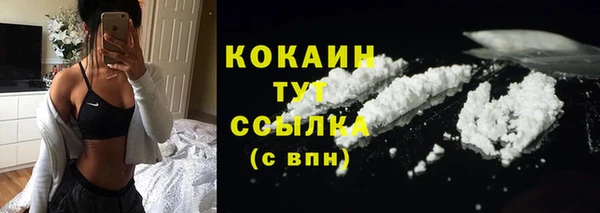 ГАЛЛЮЦИНОГЕННЫЕ ГРИБЫ Тында