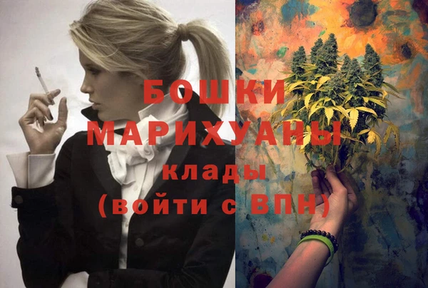 ГАЛЛЮЦИНОГЕННЫЕ ГРИБЫ Тында