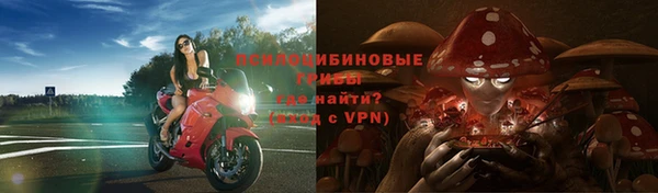 ГАЛЛЮЦИНОГЕННЫЕ ГРИБЫ Тында