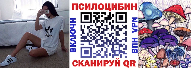 Галлюциногенные грибы Psilocybine cubensis  Купить  Харовск 